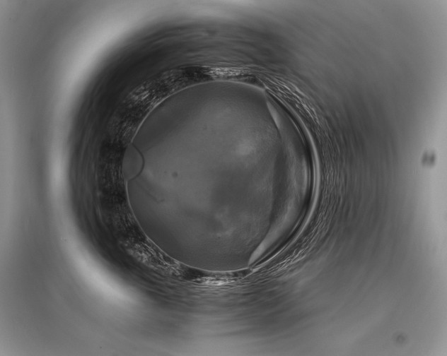 X0000096380763200801241237