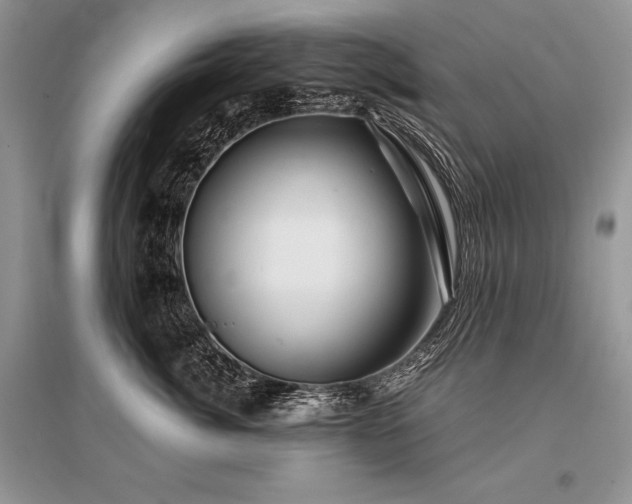 X0000096380764200801241237