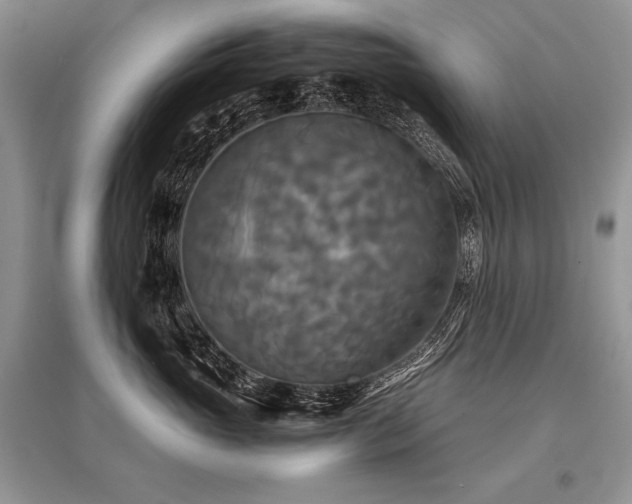 X0000096380765200801241237