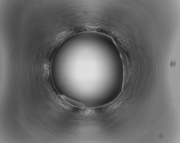 X0000096380768200801241237