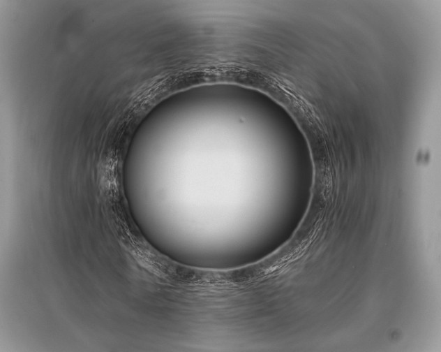 X0000096380770200801241236