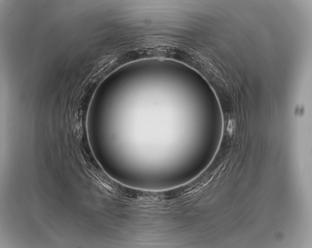 X0000096380771200801241236