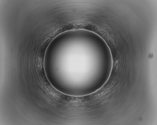 X0000096380772200801241236