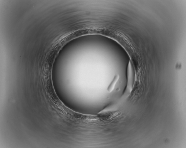 X0000096380773200801241236