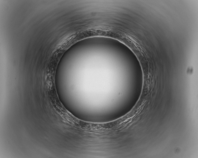 X0000096380774200801241236
