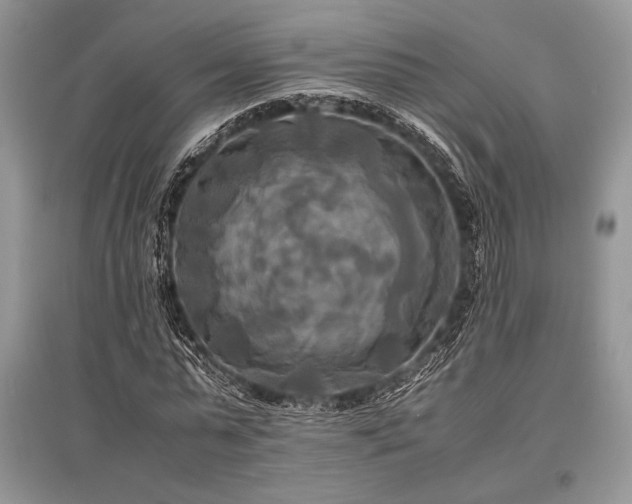 X0000096380775200801241236