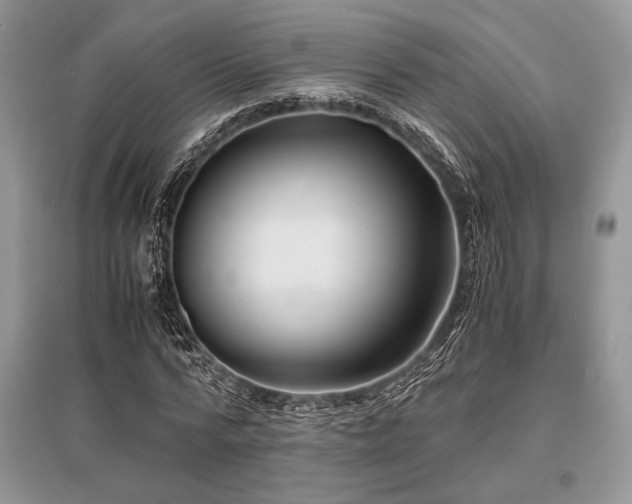 X0000096380776200801241236