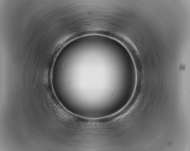 X0000096380777200801241236