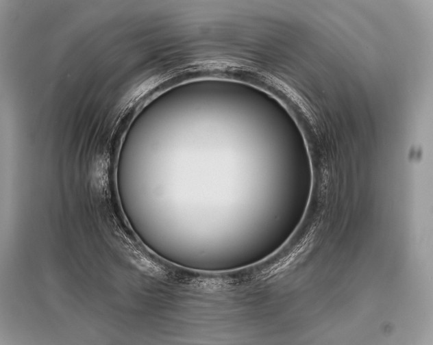 X0000096380778200801241236