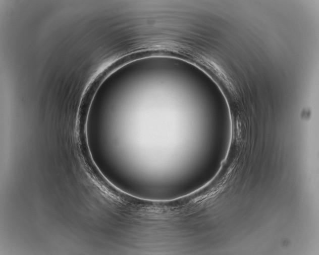 X0000096380780200801241236