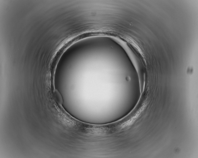X0000096380781200801241236