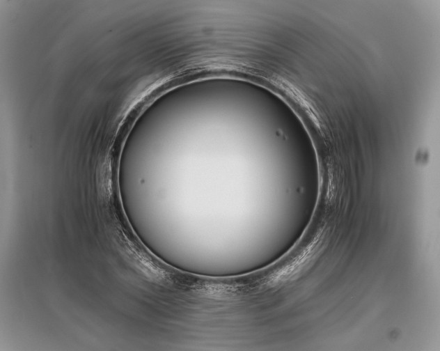 X0000096380782200801241236