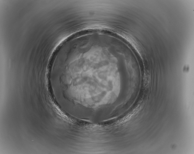 X0000096380783200801241236
