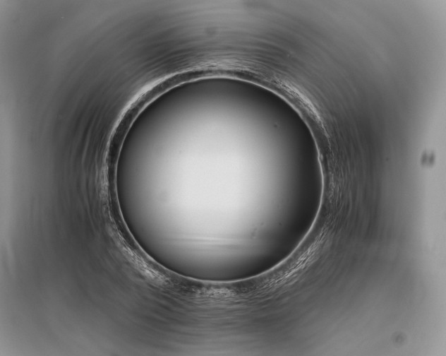 X0000096380784200801241236