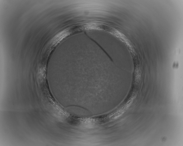 X0000096380785200801241236
