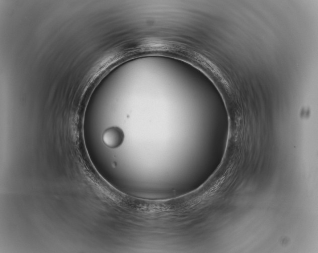 X0000096380786200801241236