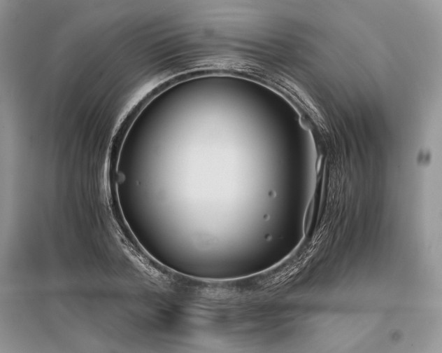 X0000096380788200801241236