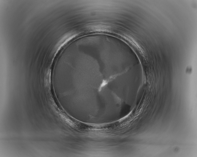X0000096380790200801241236