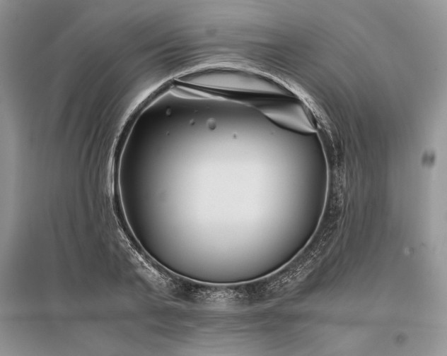 X0000096380791200801241236