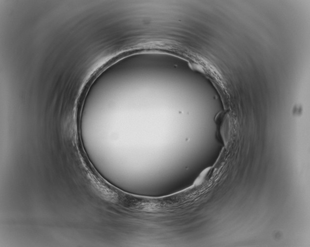 X0000096380792200801241236