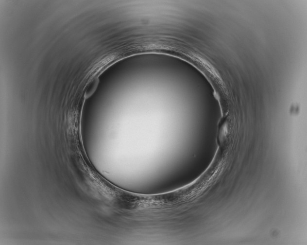 X0000096380793200801241236