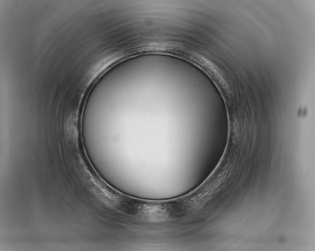 X0000096380794200801241236