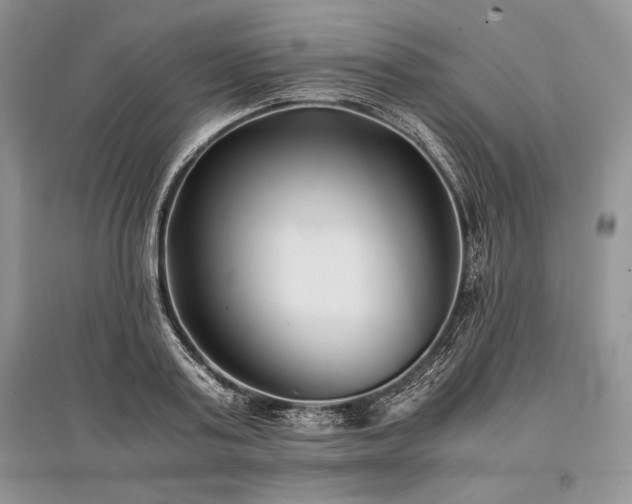 X0000096380795200801241236