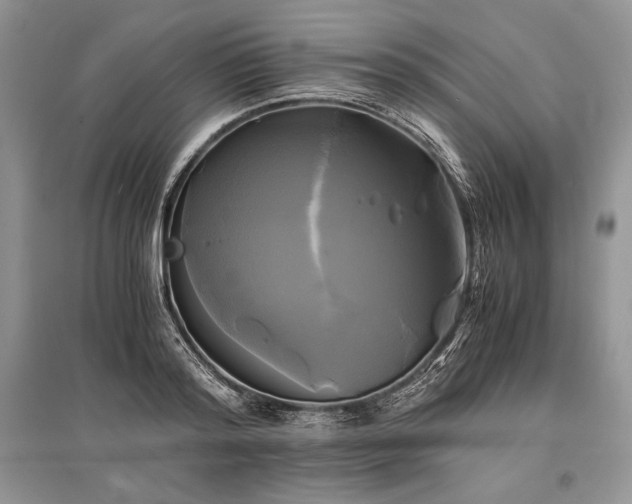 X0000096380796200801241235