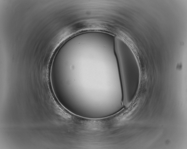 X0000096380797200801241235