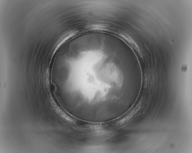 X0000096380798200801241235