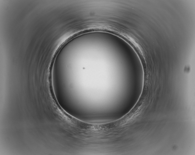 X0000096380799200801241235