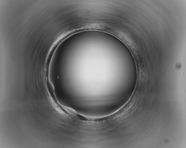 X0000096380800200801241235