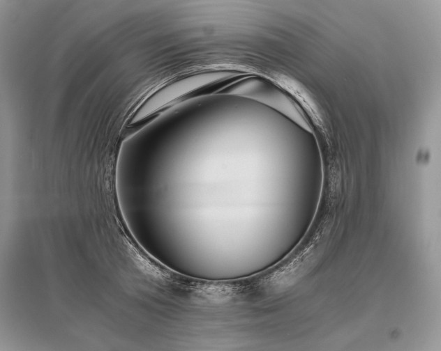 X0000096380801200801241235