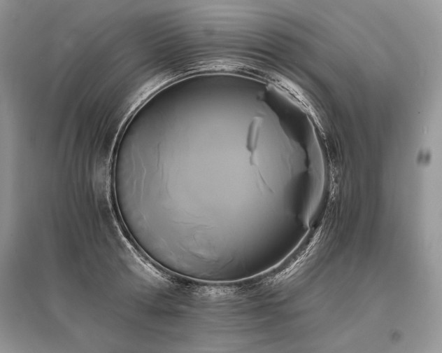 X0000096380802200801241235