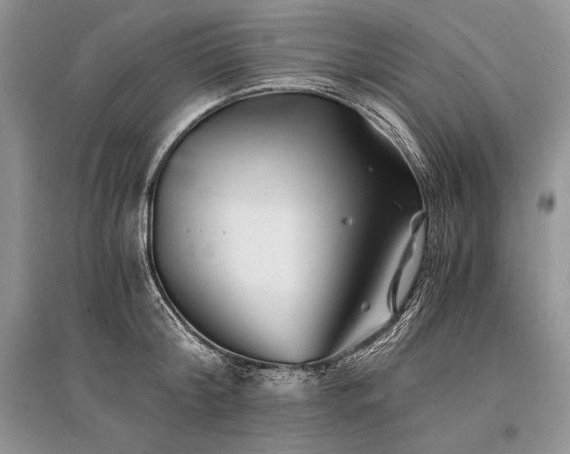 X0000096380804200801241235