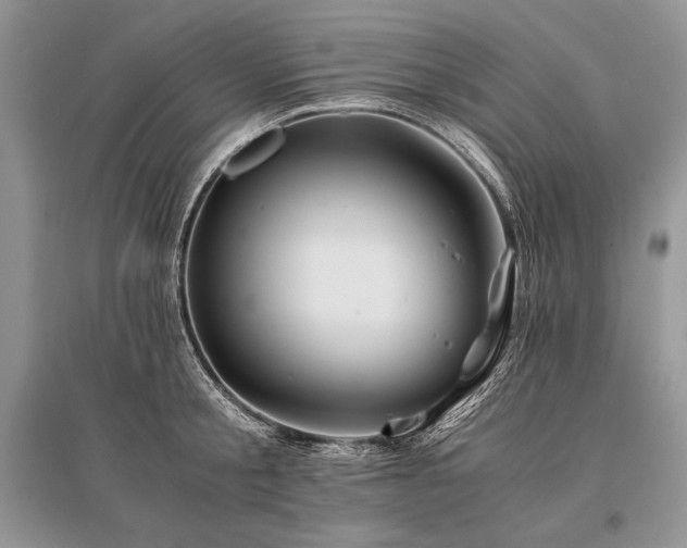 X0000096380805200801241235