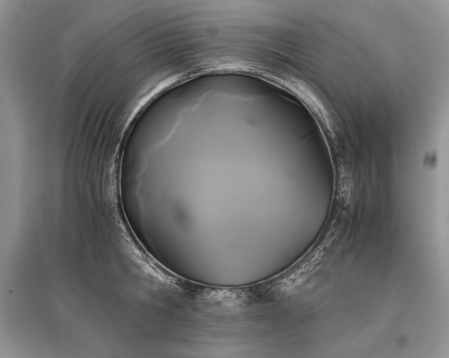 X0000096380806200801241235
