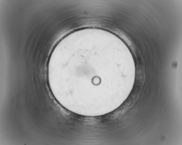 X0000096380807200801241235