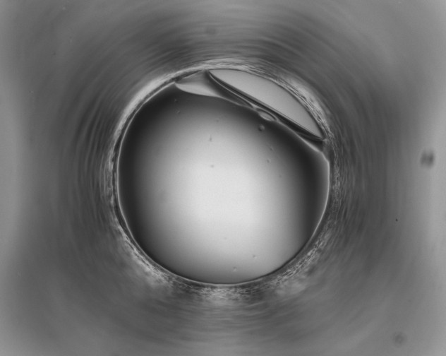 X0000096380808200801241235
