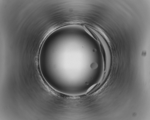 X0000096380810200801241235