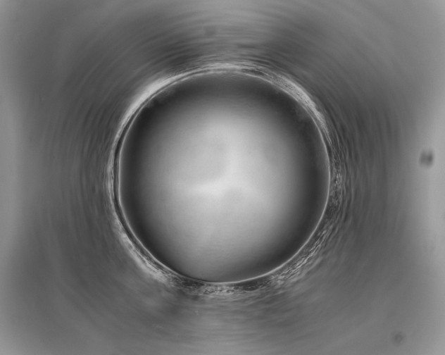 X0000096380811200801241235