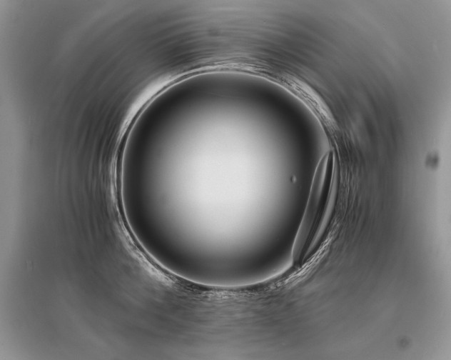 X0000096380812200801241235