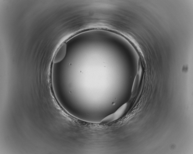 X0000096380815200801241235