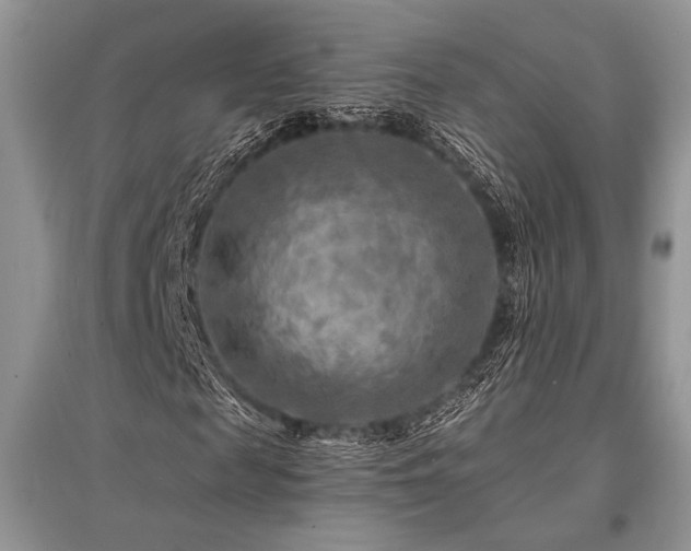 X0000096380817200801241234