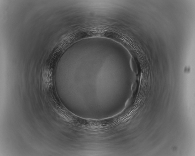 X0000096380818200801241234