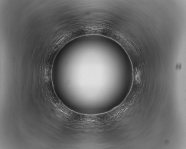 X0000096380819200801241234