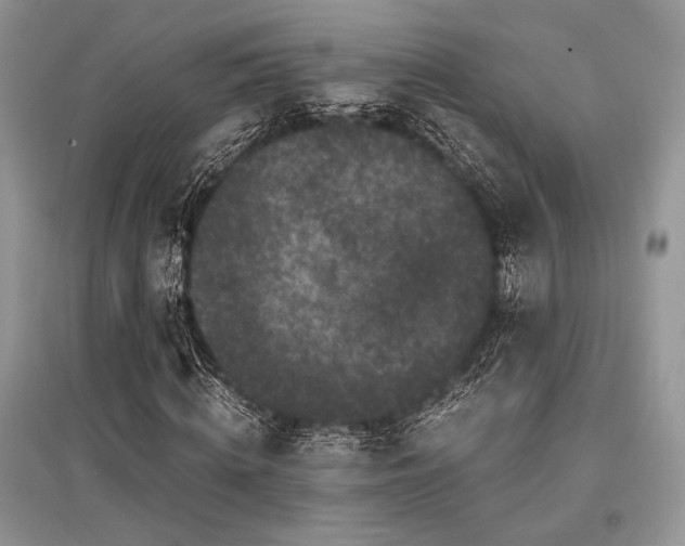 X0000096380820200801241234