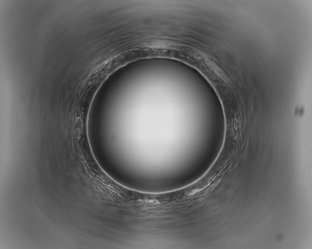 X0000096380821200801241234