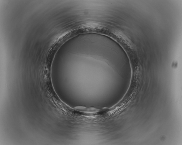 X0000096380822200801241234