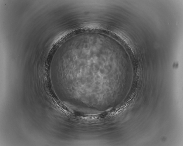 X0000096380823200801241234